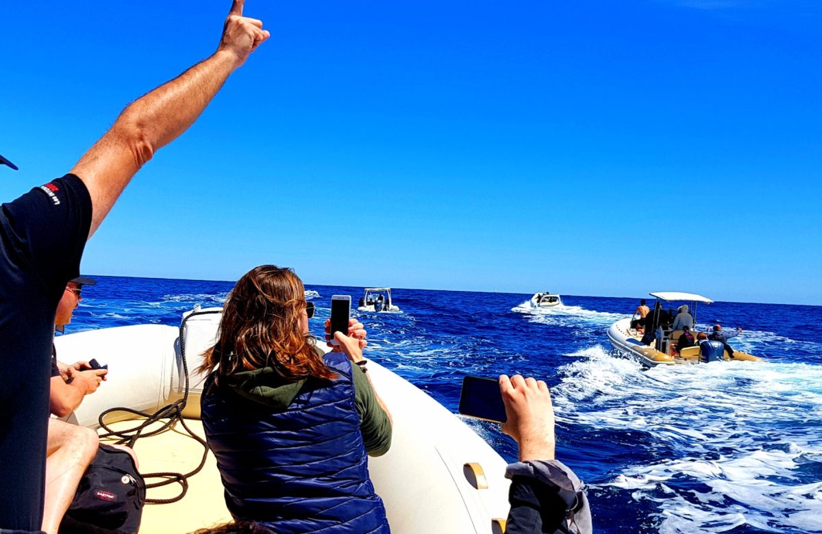 « L’événementiel interne : nouvel impératif stratégique RH »