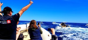 Prestations agence événementielle : séminaire et incentive en Sardaigne – Action4Creation
