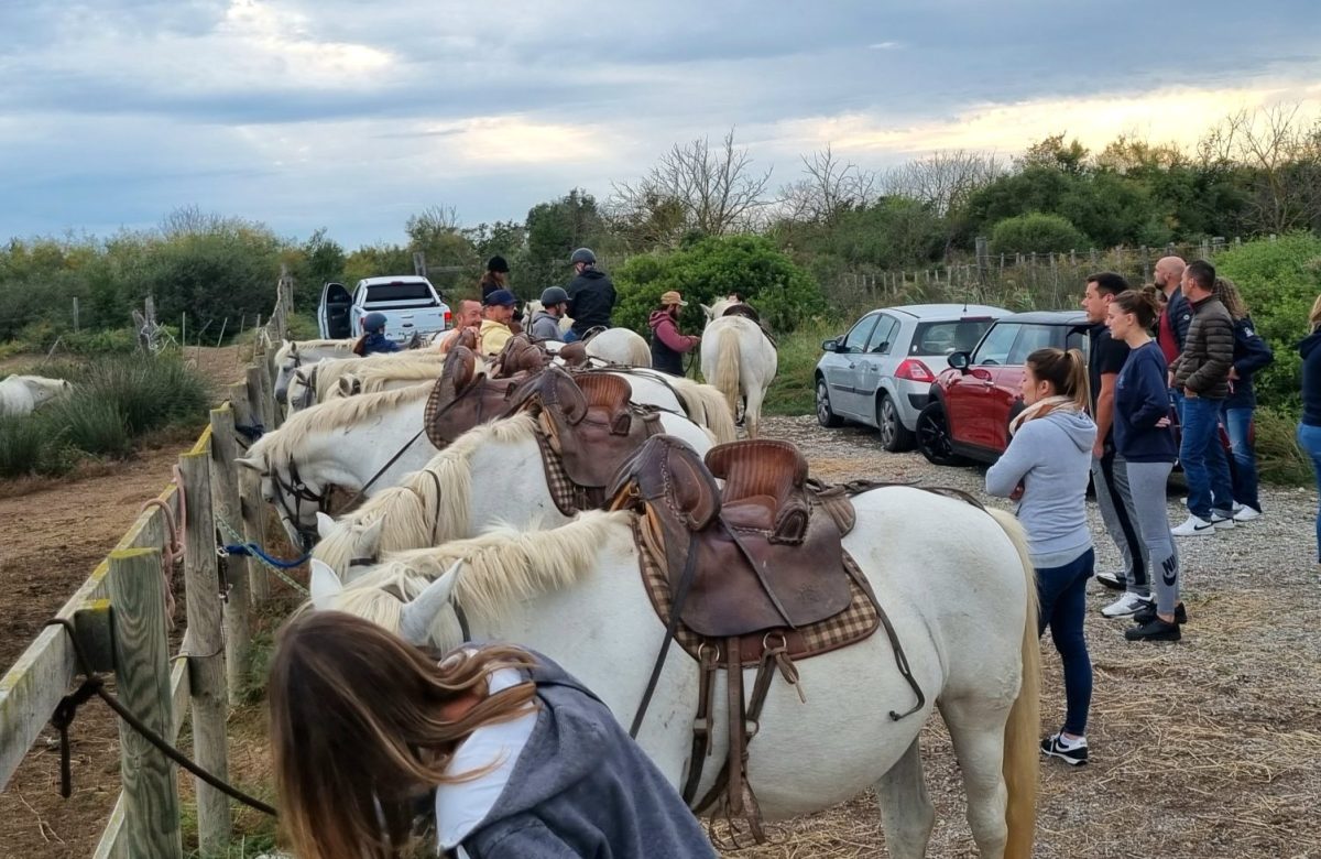 Séminaire incentive au cœur de la Camargue