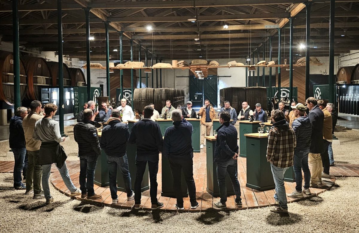 Incentive Occitanie: professionnels – 3 départements